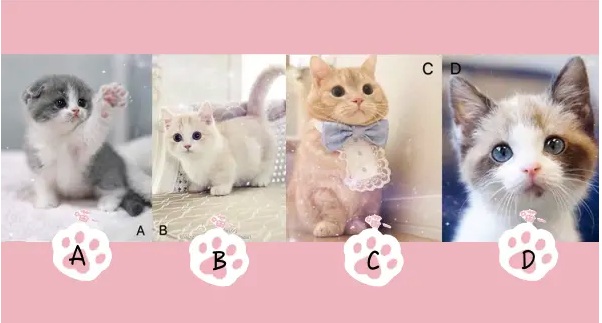 Đi tìm điều người khác nghĩ về bạn nhưng không bao giờ chịu nói ra