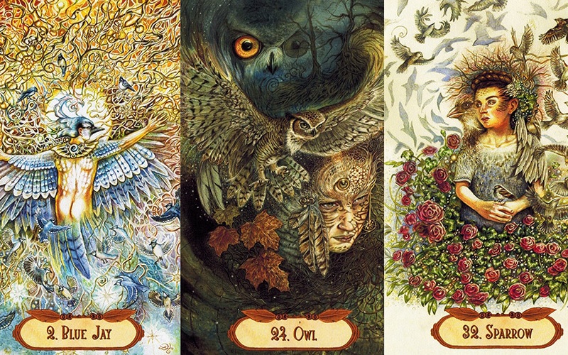 Bói bài Tarot: Điều may mắn nào đang chờ bạn trong tháng 7 này?