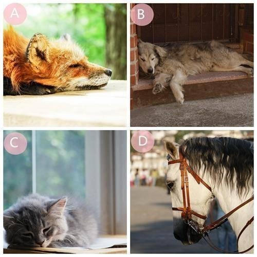 Điều gì đang 'giết dần giết mòn' tinh thần và thể xác bạn?