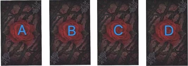 Bói bài Tarot: Chọn 1 lá bài để biết được chân ái trong cuộc đời bạn đã xuất hiện hay chưa?