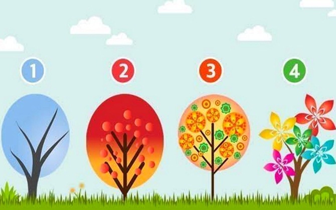 Chọn một cái cây dưới đây để biết cảm xúc gì đang chi phối tâm hồn bạn hiện tại