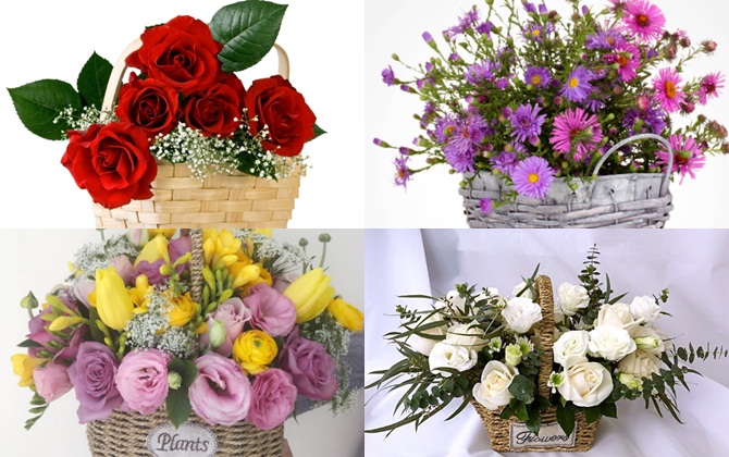 Chọn lẵng hoa bạn yêu thích để xem về già bạn có sống hạnh phúc và vui vẻ không?