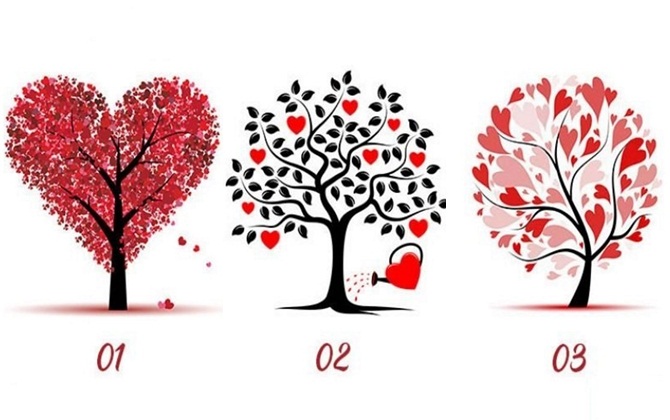 Tìm hiểu kiểu đàn ông phù hợp với bạn bằng cách chọn một cây tình yêu