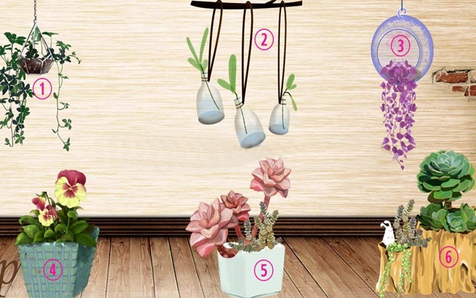 Bạn có muốn biết tại sao bạn lại khiến người khác khó chịu? Chọn một loại cây để tìm hiểu ngay 