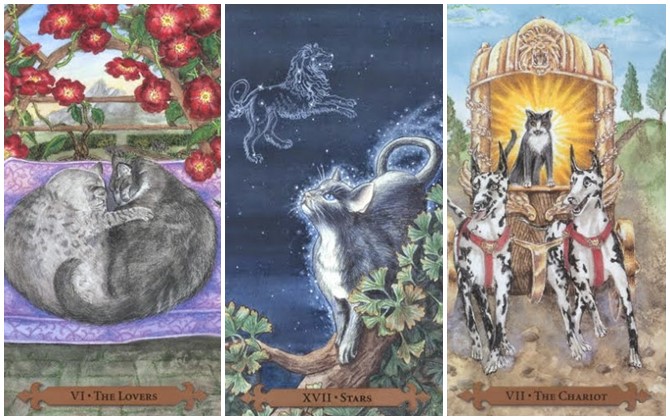 Rút một lá bài Tarot để xem ai là quý nhân mang đến may mắn và cơ hội cho bạn trong tháng 3 này