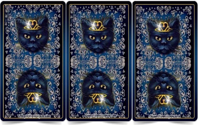 Bạn đang ở thời điểm nào của cuộc đời mình? Chọn một lá bài Tarot để tìm hiểu