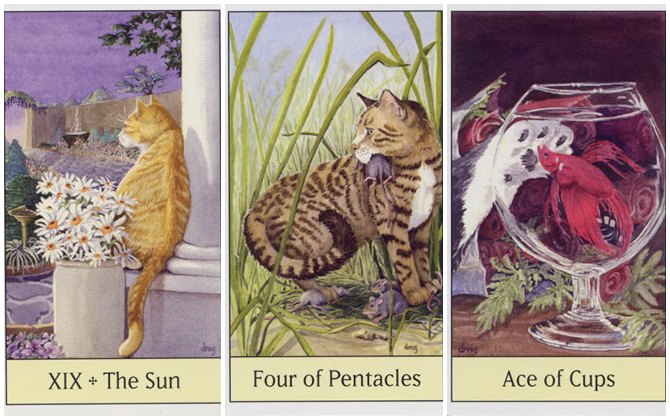 Rút một lá bài Tarot để khám phá tổng quan cuộc sống của bạn trong 2 tháng tới