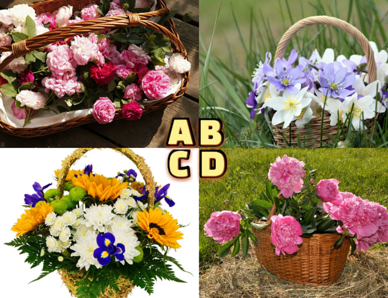 Chọn giỏi hoa bạn thích nhất để biết chỉ số hạnh phúc của bạn trong thời điểm hiện tại