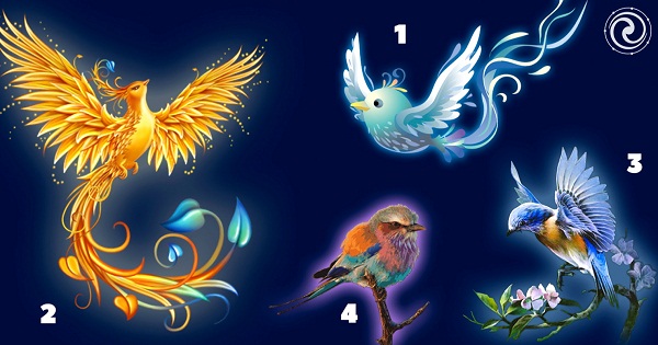 Chú chim ma thuật mà bạn chọn sẽ cho bạn biết điều gì đang chờ đợi bạn trong tháng tới