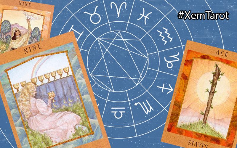 Rút một lá bài Tarot đại diện cho 12 cung Hoàng đạo để đoán trước vận mệnh của bạn trong tháng 9 tới