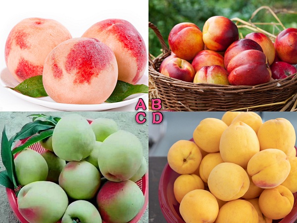 Chọn quả đào bạn thấy ngọt nhất để biết cuộc sống khi về già của bạn như thế nào