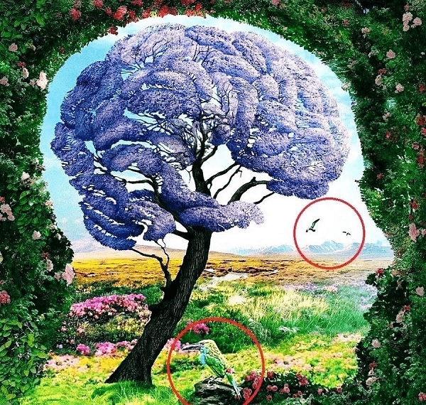 Hình ảnh đầu tiên bạn nhìn thấy sẽ tiết lộ cách bạn tiêu tiền