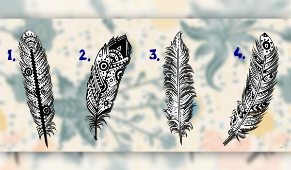 Chọn 1 chiếc lông vũ để biết sứ mệnh thực sự của bạn 