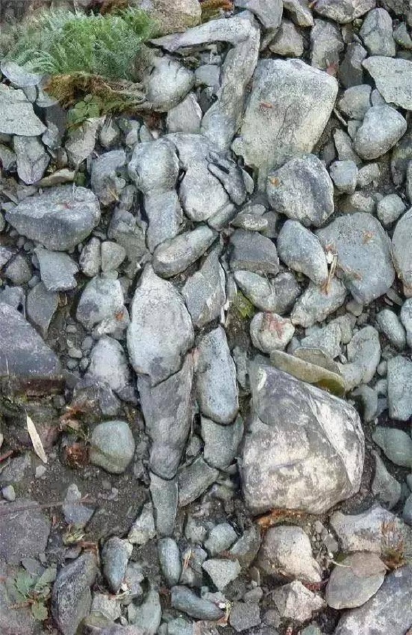 Hình ảnh đầu tiên nhìn thấy sẽ hé lộ tính cách tốt nhất của bạn