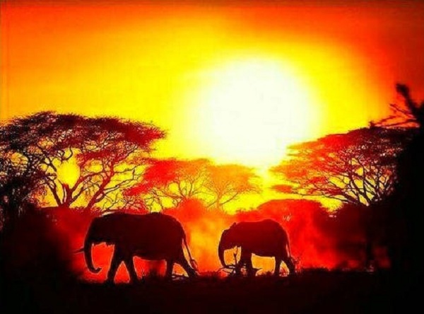 Hình ảnh đầu tiên bạn nhìn thấy sẽ hé lộ bạn nghèo hay giàu trong tương lai