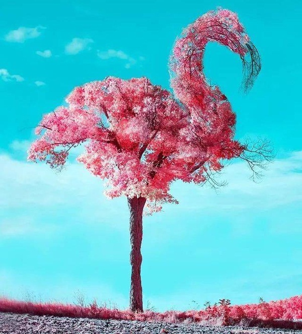 Hình ảnh đầu tiên bạn nhìn thấy sẽ tiết lộ bạn sẽ nhận được những bất ngờ nào trong 3 hoặc 4 tháng tới