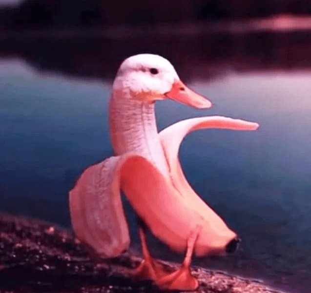 Hình ảnh đầu tiên nhìn thấy sẽ tiết lộ ngôi sao may mắn của bạn là ai?