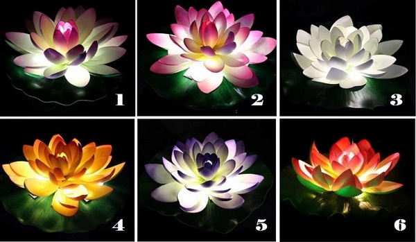 Chọn 1 bông hoa sen và nhận được lời khuyên cho hoàn cảnh hiện tại của bạn 