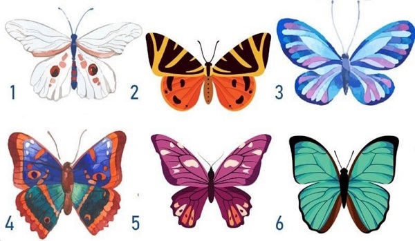 Chọn 1 con bướm và khám phá tính cách tiềm ẩn của bạn