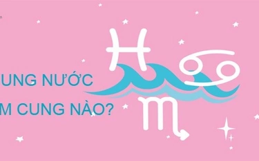 Cung Nước gồm cung nào? Đặc điểm của các cung Nước