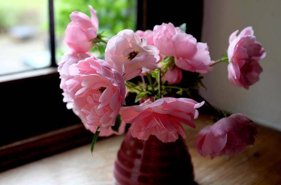 Chọn 1 bó hoa mà bạn sẽ bày ở phòng khách để biết cuộc đời bạn rồi sẽ ra sao