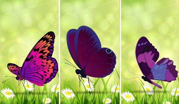 Chọn 1 con bướm để nhận thông điệp tâm linh gửi đến bạn