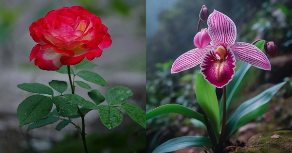 Chọn một bông hoa để biết bạn quyến rũ nhất khi nào