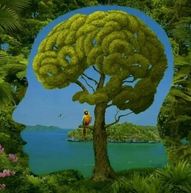 Hình ảnh đầu tiên nhìn thấy sẽ tiết lộ ai sẵn sàng giúp đỡ bạn