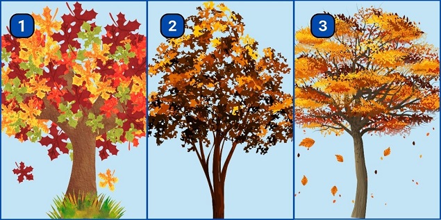 Chọn một cái cây để biết bạn làm thế nào khi bị căng thẳng