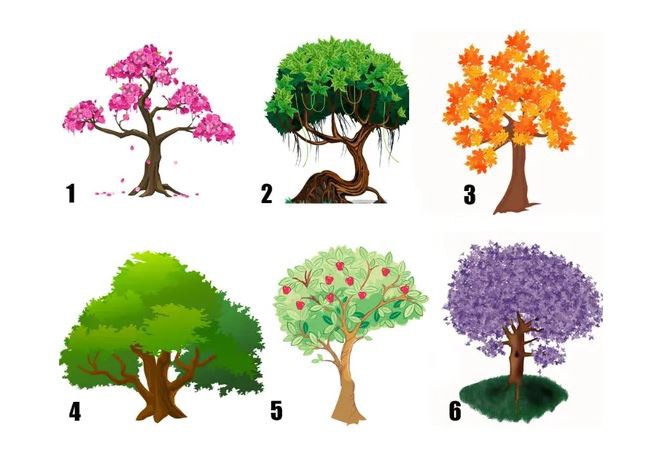 Chọn loại cây yêu thích nhất và tìm ra đặc điểm nổi bật của bạn