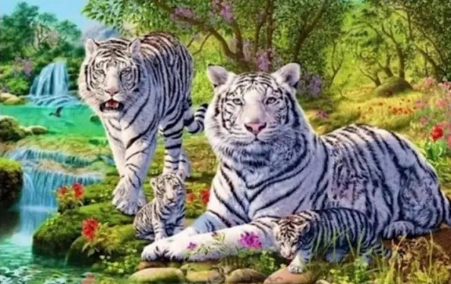 Số con hổ nhìn thấy sẽ tiết lộ bạn mưu mô đến mức nào trong mắt bạn bè